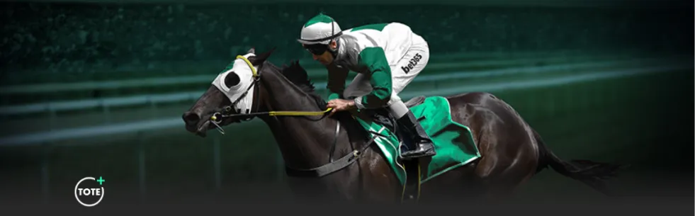 德赫亚,休赛期,我人生中最,UED,ued,UED体育官网,UED官网,UED体育下载